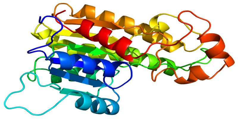biochem-click